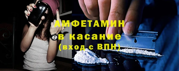 шишки Верхний Тагил