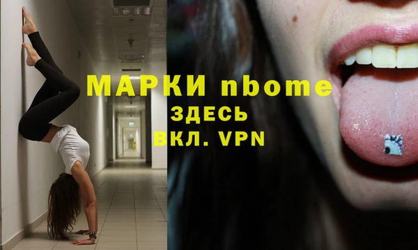 шишки Верхний Тагил