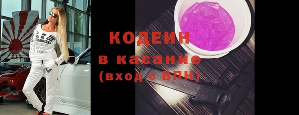 шишки Верхний Тагил