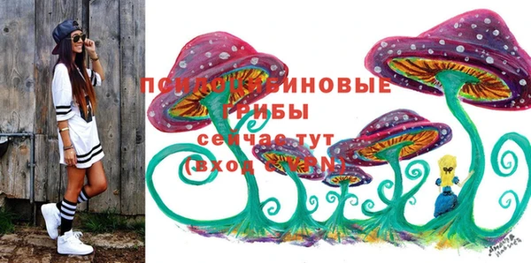 шишки Верхний Тагил