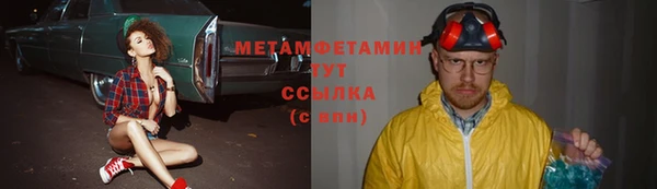 шишки Верхний Тагил