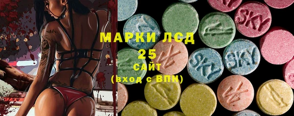шишки Верхний Тагил