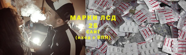 индика Богородицк
